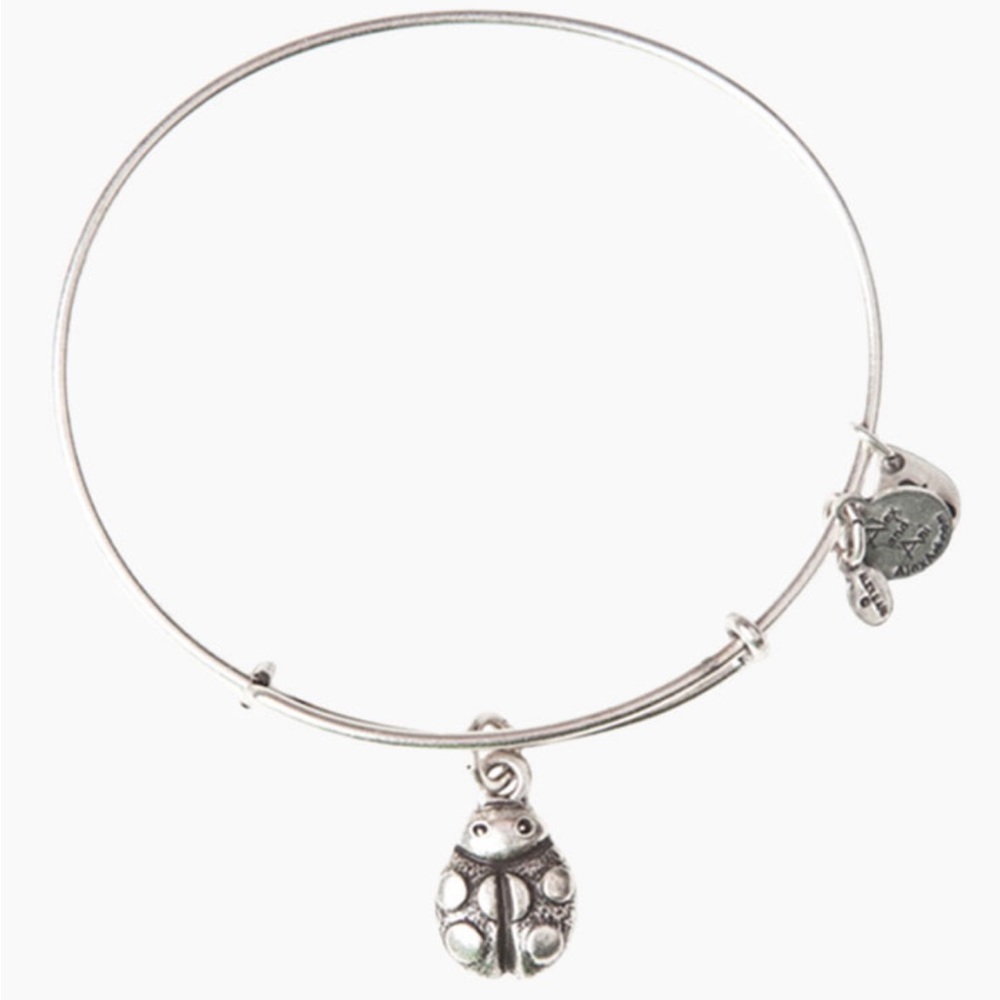 Alex and Ani Ladybug Charm Bracelet 
Luck | Happiness | Affection